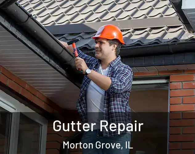 Gutter Repair Morton Grove, IL