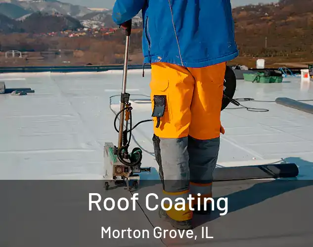  Roof Coating Morton Grove, IL