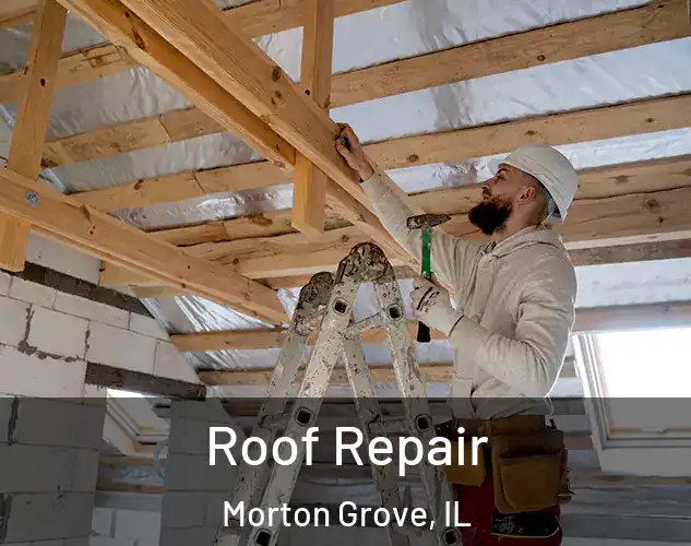 Roof Repair Morton Grove, IL